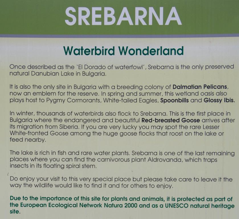 Srebarna Lakeview Apartments Sreburna Экстерьер фото