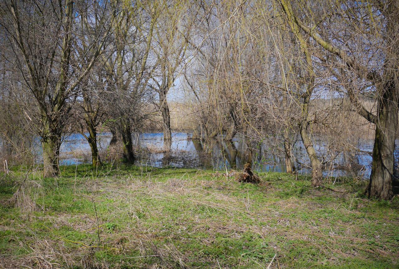 Srebarna Lakeview Apartments Sreburna Экстерьер фото